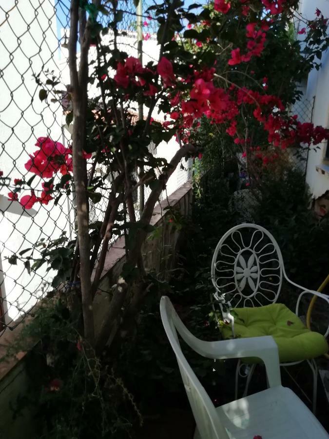 Can Pau Guesthouse Llança Dış mekan fotoğraf
