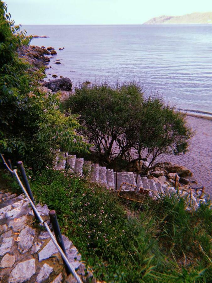 Can Pau Guesthouse Llança Dış mekan fotoğraf